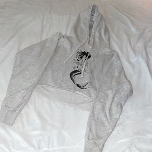 venice beach crop sweatshirt